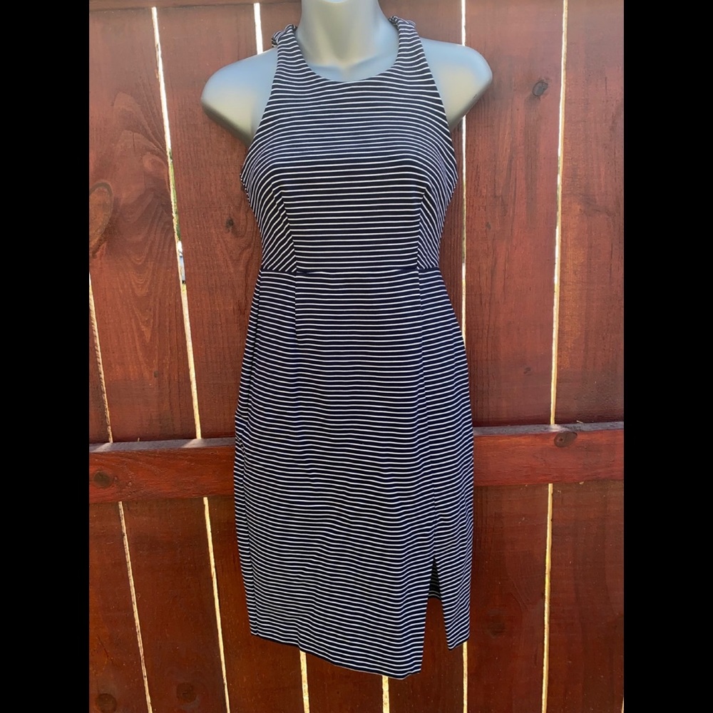 Banana Republic Fitted Dress